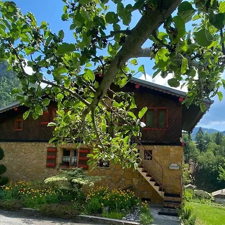 Génépi Appartamento Montriond