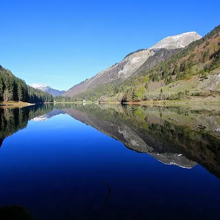 Génépi Montriond