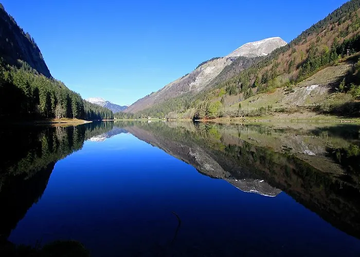 Genepi Montriond