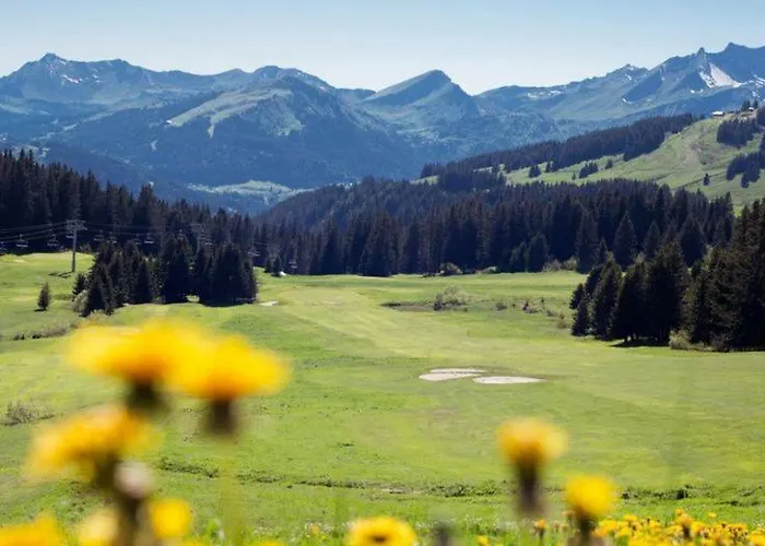 Genepi Lägenhet Montriond