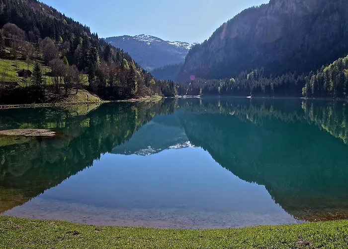 Genepi *