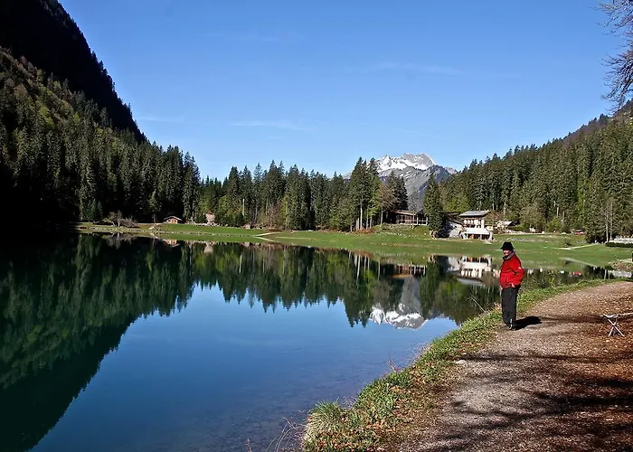 Lägenhet Genepi Montriond